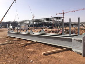 沙特北部公用工程项目钢结构开始安装