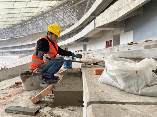 乐山奥体中心 全力推进内装工程 确保明年8月前竣工投运